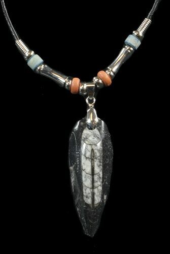 Fossil Orthoceras (Devonian Cephalopod) Necklace #43111